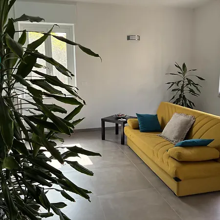 Guest house Fiorita 3*